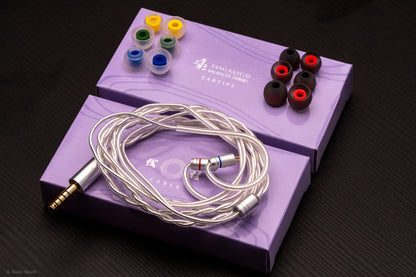 Monitor in-ear TANGZU Wan’er S.G II con driver dinámico de 10mm PET, detalles visibles en los auriculares.